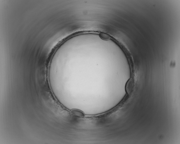 X0000111860781200909031750