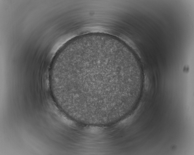 X0000111860782200909031750