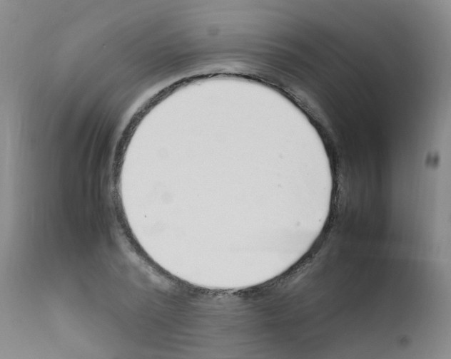 X0000111860784200909031750