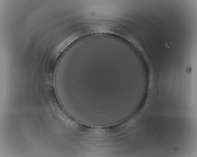 X0000111860785200909031750