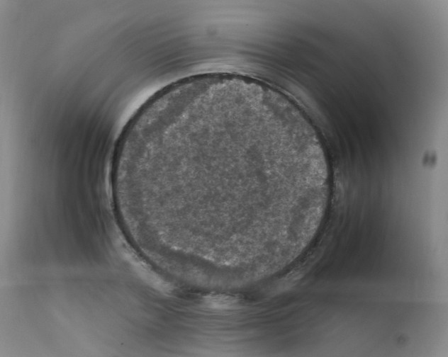 X0000111860788200909031750