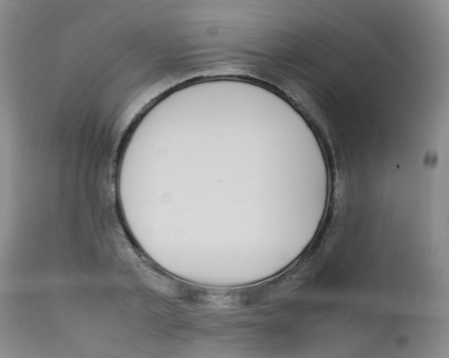 X0000111860789200909031750