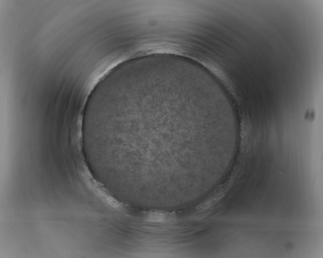 X0000111860790200909031750