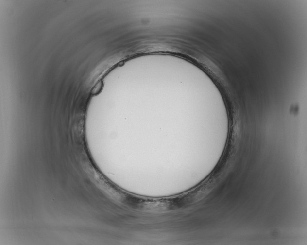 X0000111860793200909031750