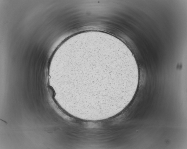 X0000111860796200909031750