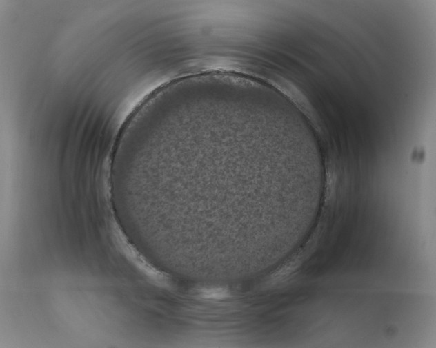 X0000111860798200909031750