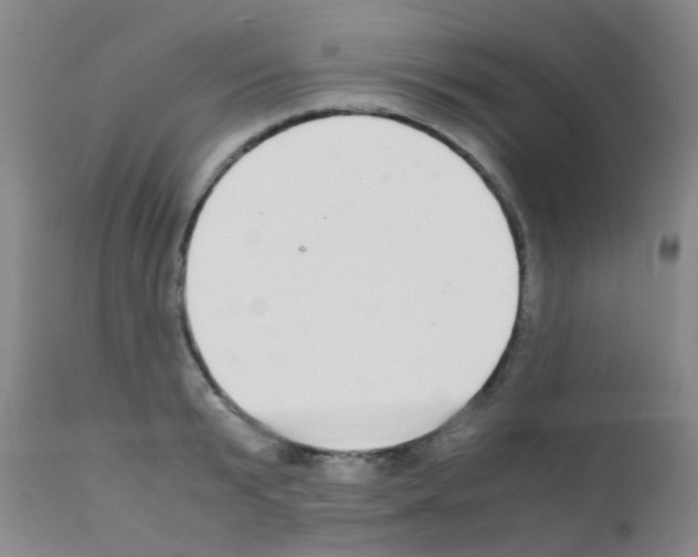 X0000111860799200909031750