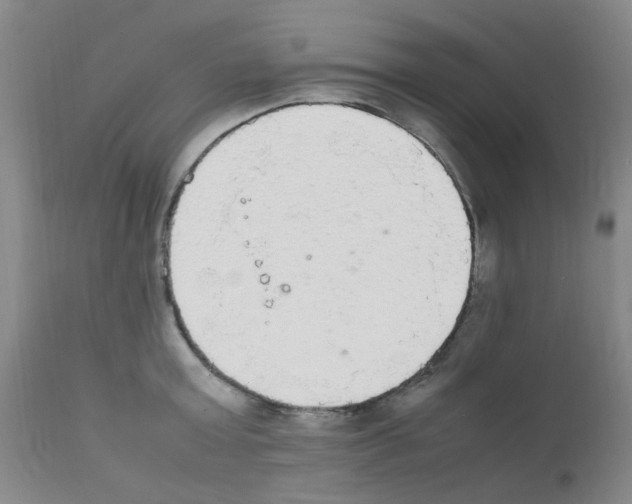 X0000111860803200909031750
