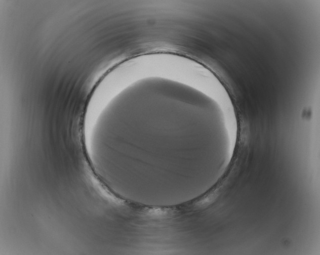 X0000111860806200909031750