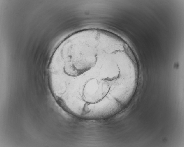 X0000111860807200909031750