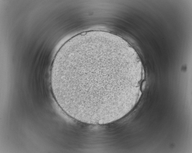 X0000111860808200909031750