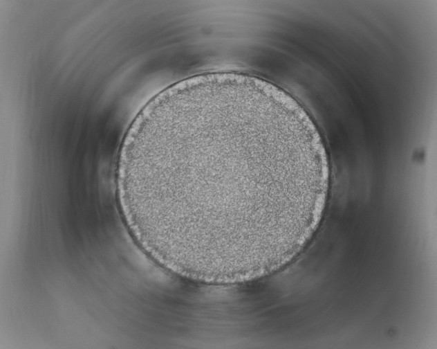 X0000111860810200909031750