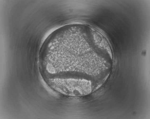 X0000111860811200909031750