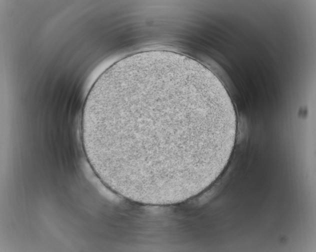 X0000111860812200909031749