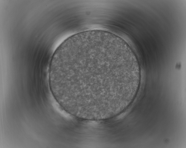 X0000111860814200909031749