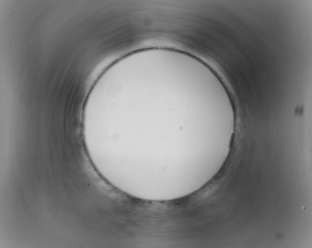 X0000111860815200909031749