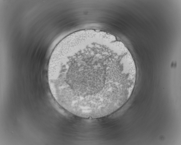 X0000111860816200909031749