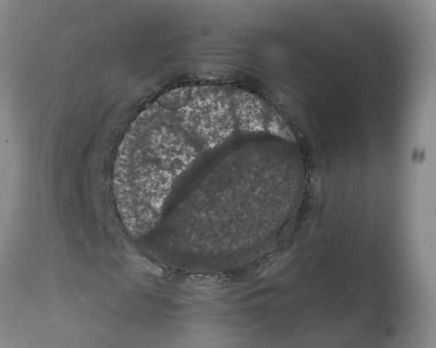 X0000111860817200909031749