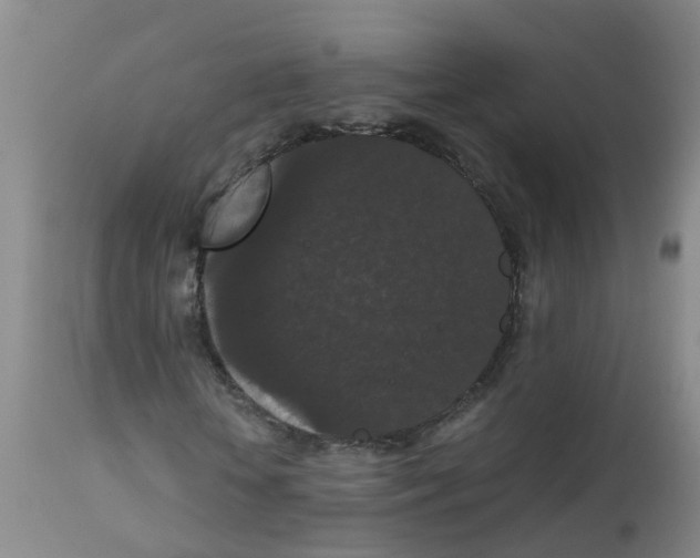 X0000111860818200909031749