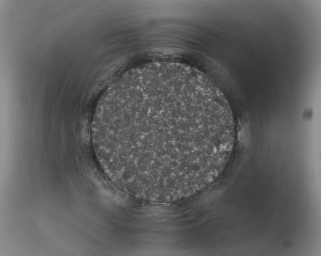 X0000111860819200909031749