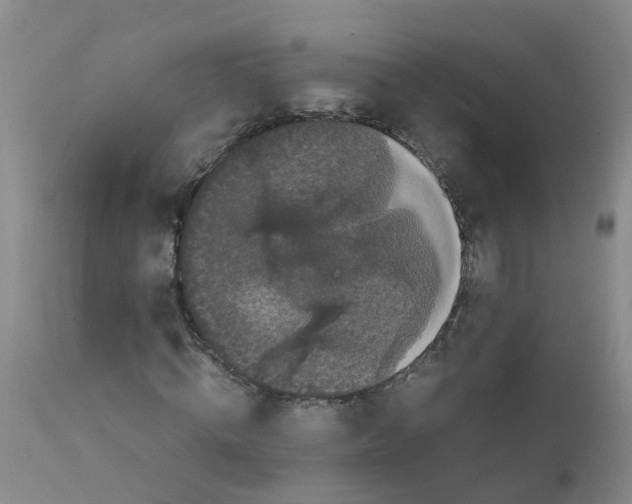 X0000111860820200909031749