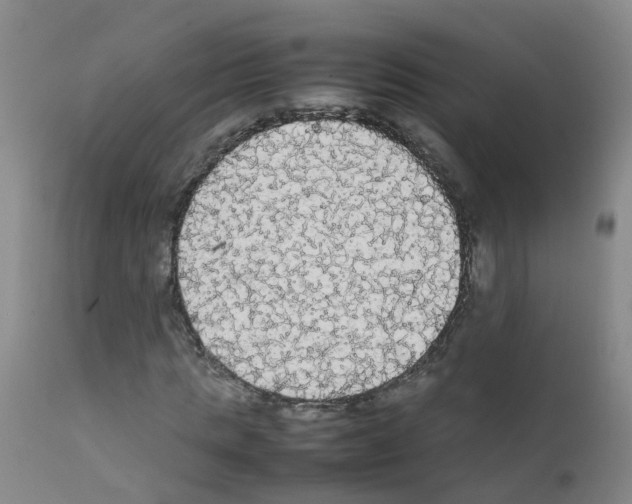 X0000111860821200909031749