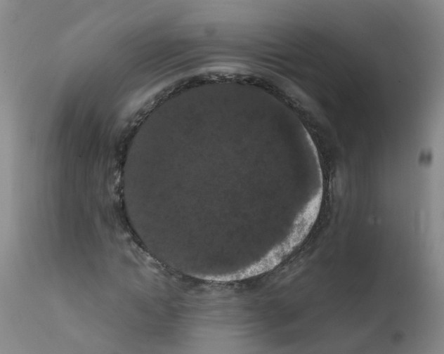 X0000111860822200909031749