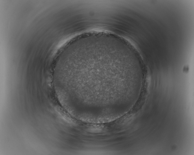 X0000111860823200909031749