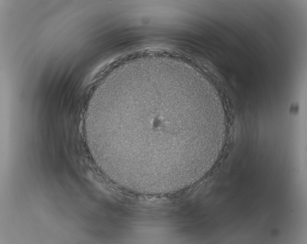 X0000111860824200909031749