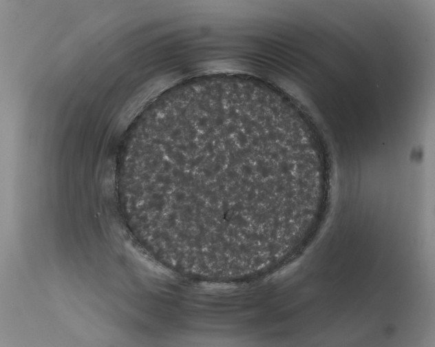 X0000111860825200909031749