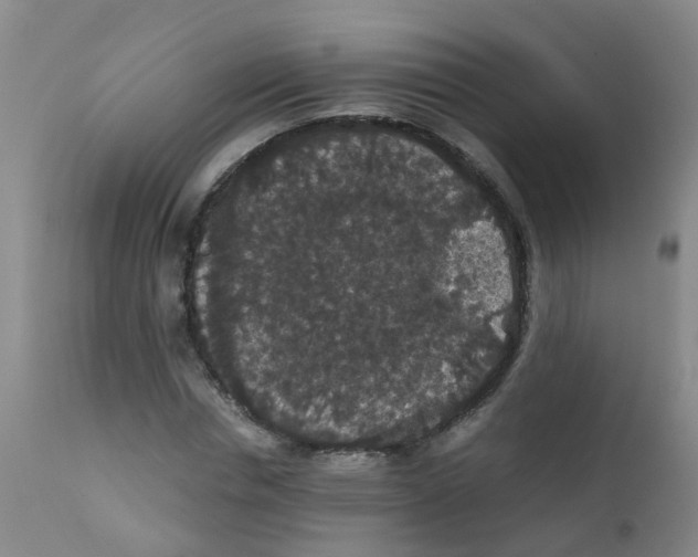 X0000111860826200909031749