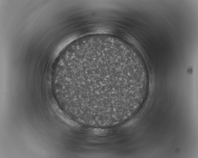 X0000111860827200909031749