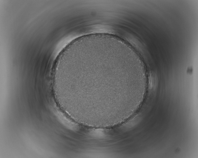 X0000111860828200909031749