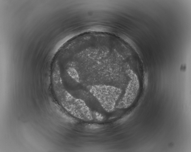 X0000111860829200909031749