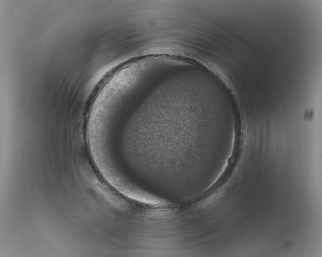 X0000111860830200909031749