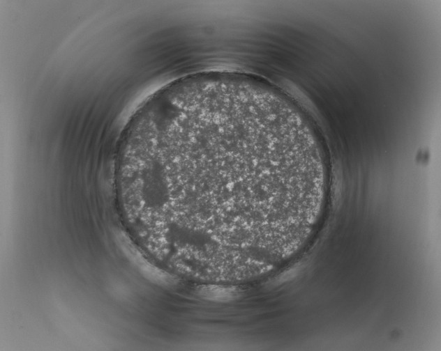 X0000111860831200909031749