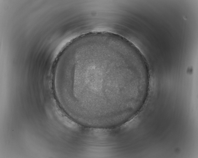 X0000111860832200909031749