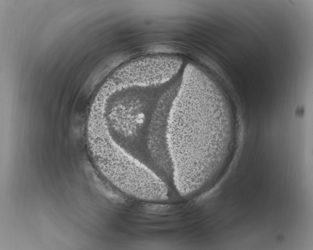 X0000111860833200909031749