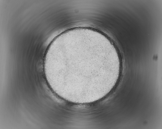 X0000111860834200909031749