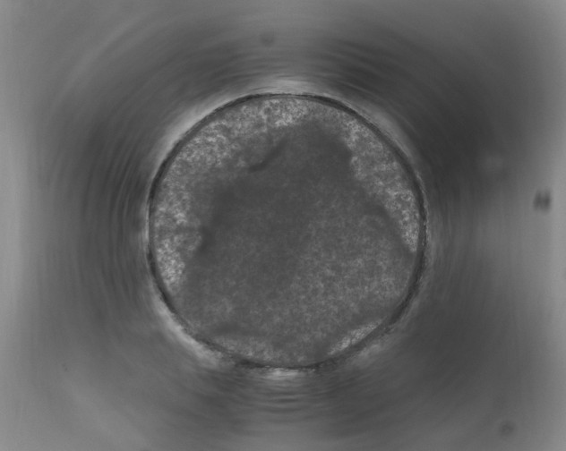 X0000111860839200909031749