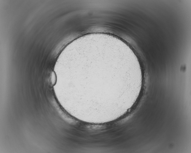 X0000111860841200909031749