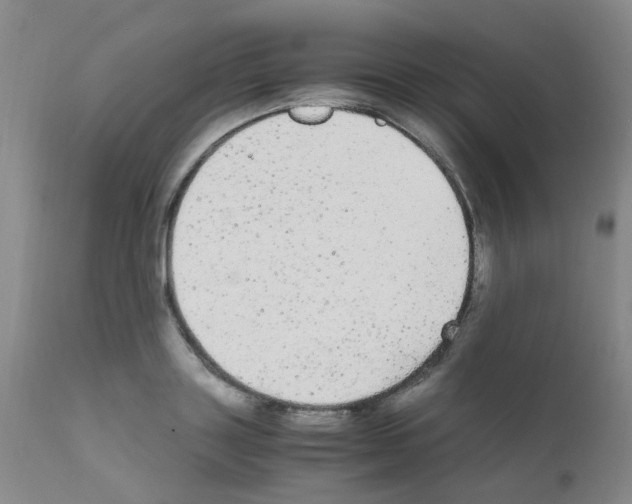 X0000111860843200909031749