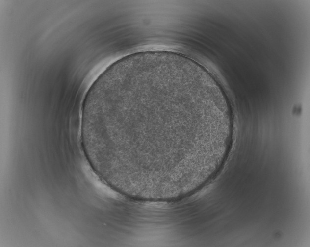 X0000111860844200909031749