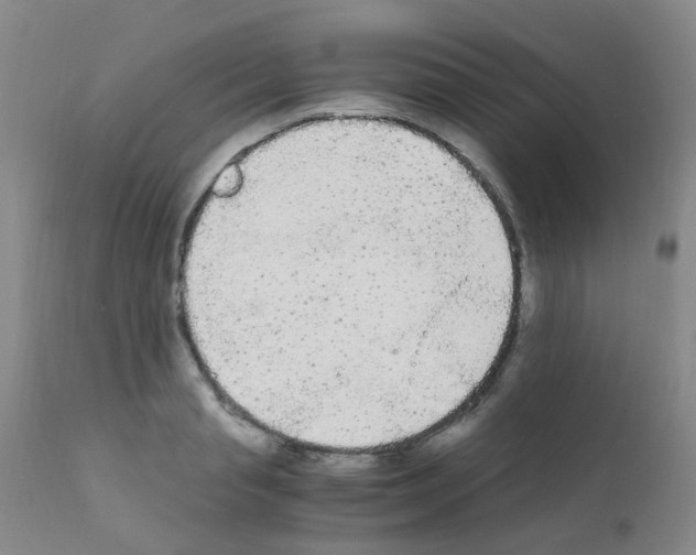 X0000111860845200909031749