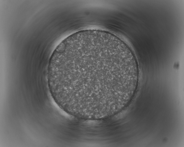 X0000111860847200909031749