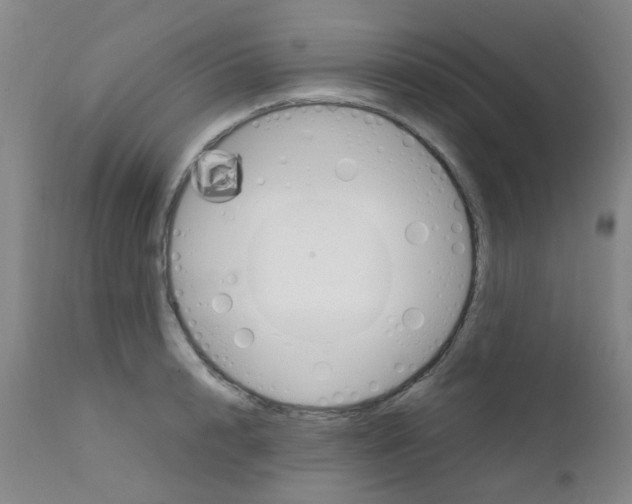 X0000111860848200909031749