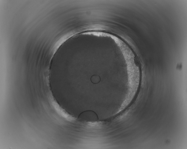 X0000111860850200909031749