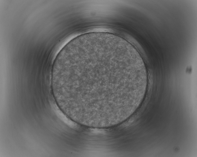 X0000111860852200909031749