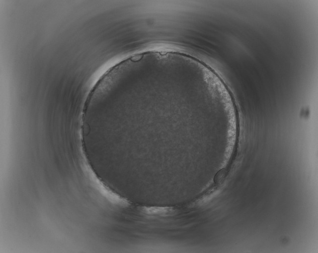 X0000111860853200909031749