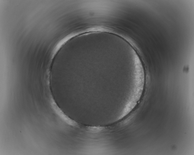 X0000111860854200909031749